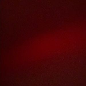 Meet your Posher, Bella